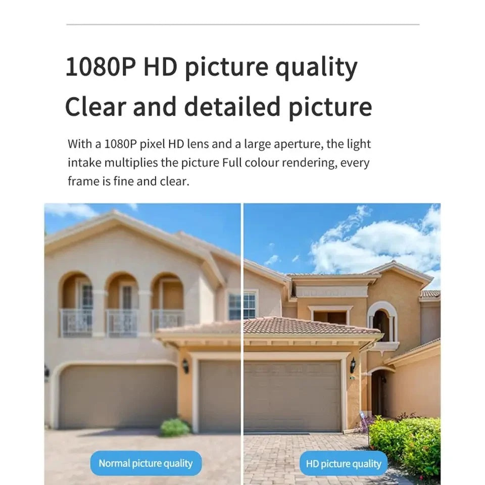 2184-10799.jpg