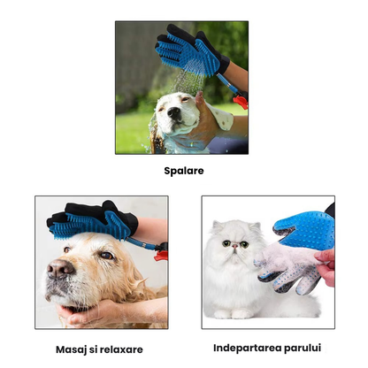 3105-16054.png